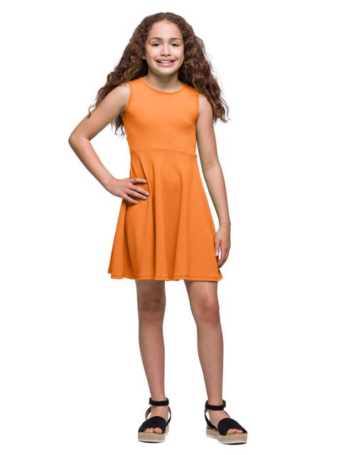 Sleeveless Knee Length Fit and Flare Dress