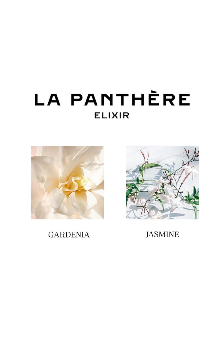 La Panthère Elixir, Alternate, color, NO COLOR