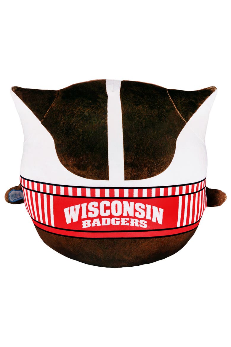 University of Wisconsin Badgers Bucky Badger Kiri Cloud Plushie, Alternate, color, None