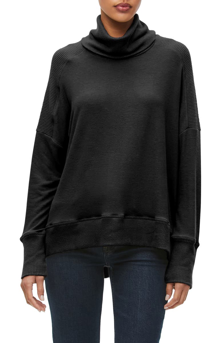 Michael Stars Bea Turtleneck Sweater, Main, color,