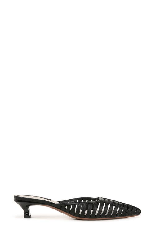 Franco Sarto Women's Marlina Fisherman Pointed Toe Kitten Heel Mules In Black