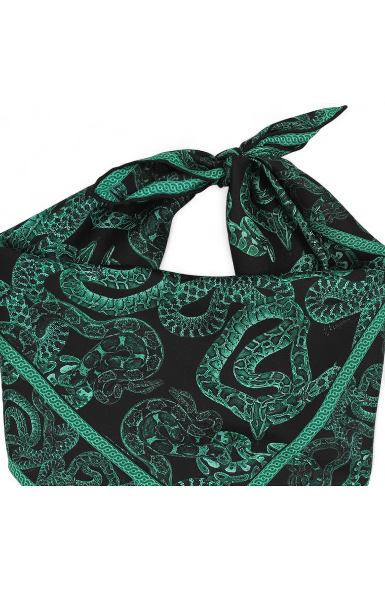 Monzlapur Silk Serpent Noir Scarf, Alternate, color, Forest Green