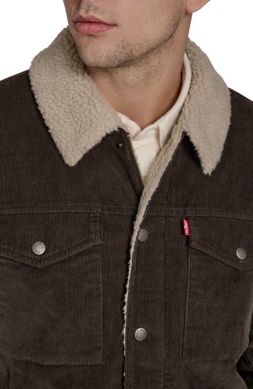 Levi's® Corduroy Faux Shearling Lined Trucker Jacket In Brown