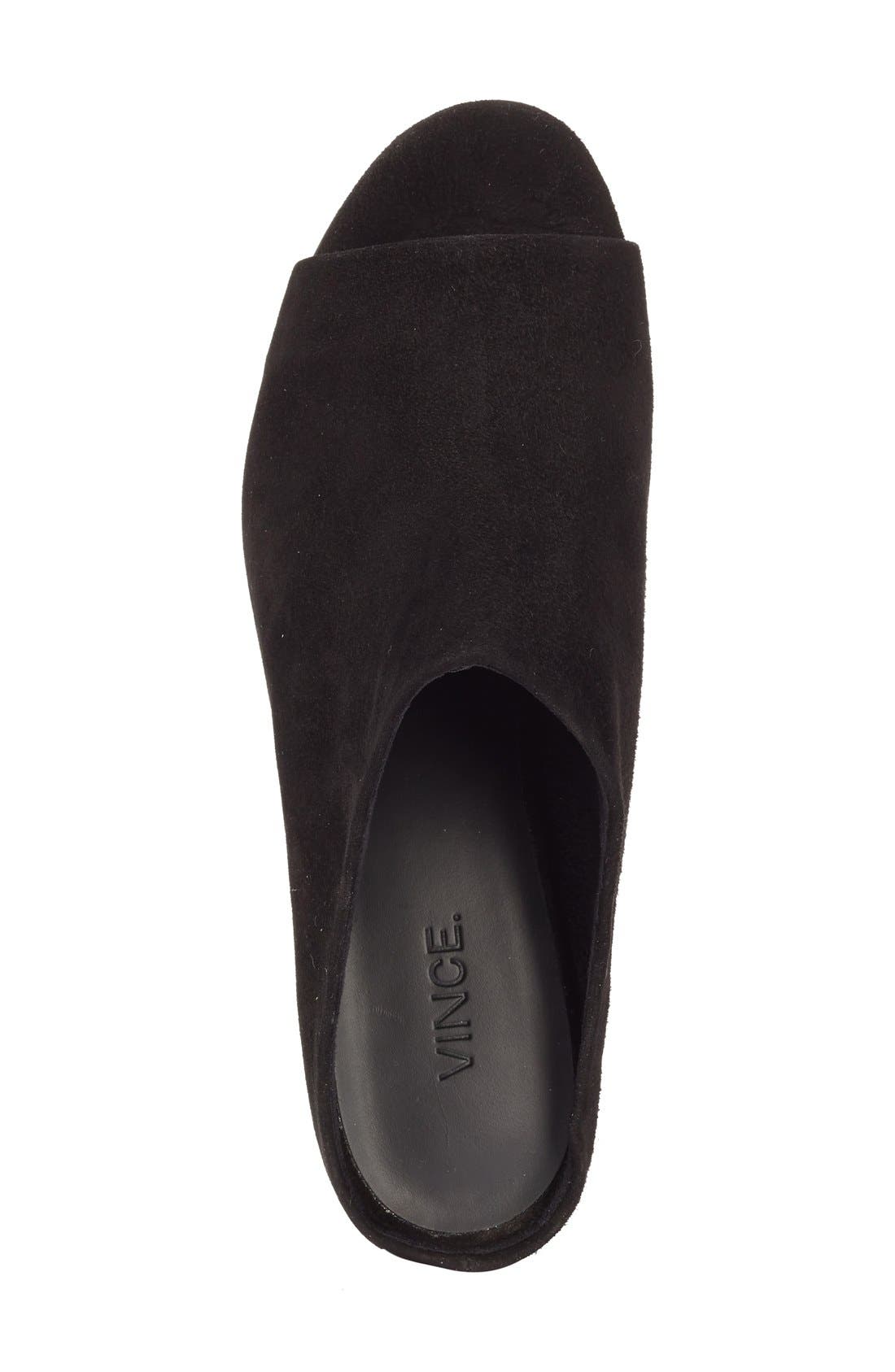 Vince Petra Mule, Alternate, color, 