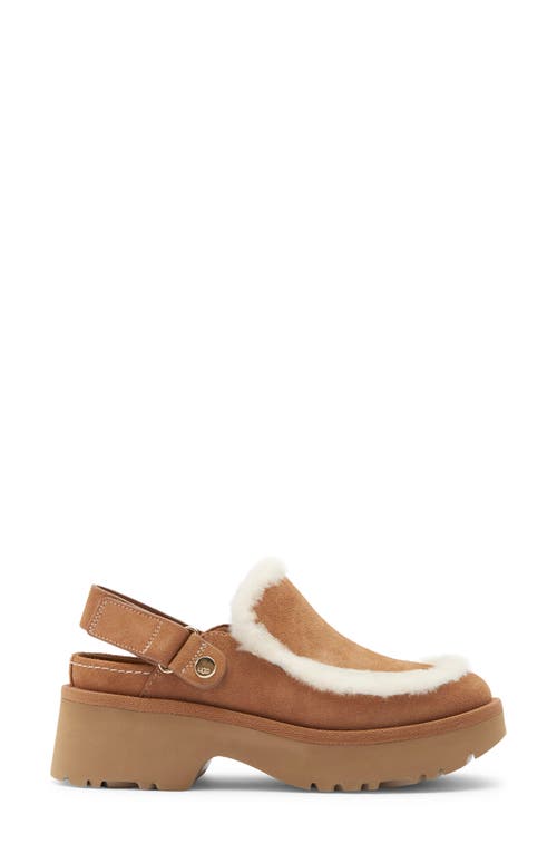 Ugg(r) Esmee Genuine Shearling Clog In Brown
