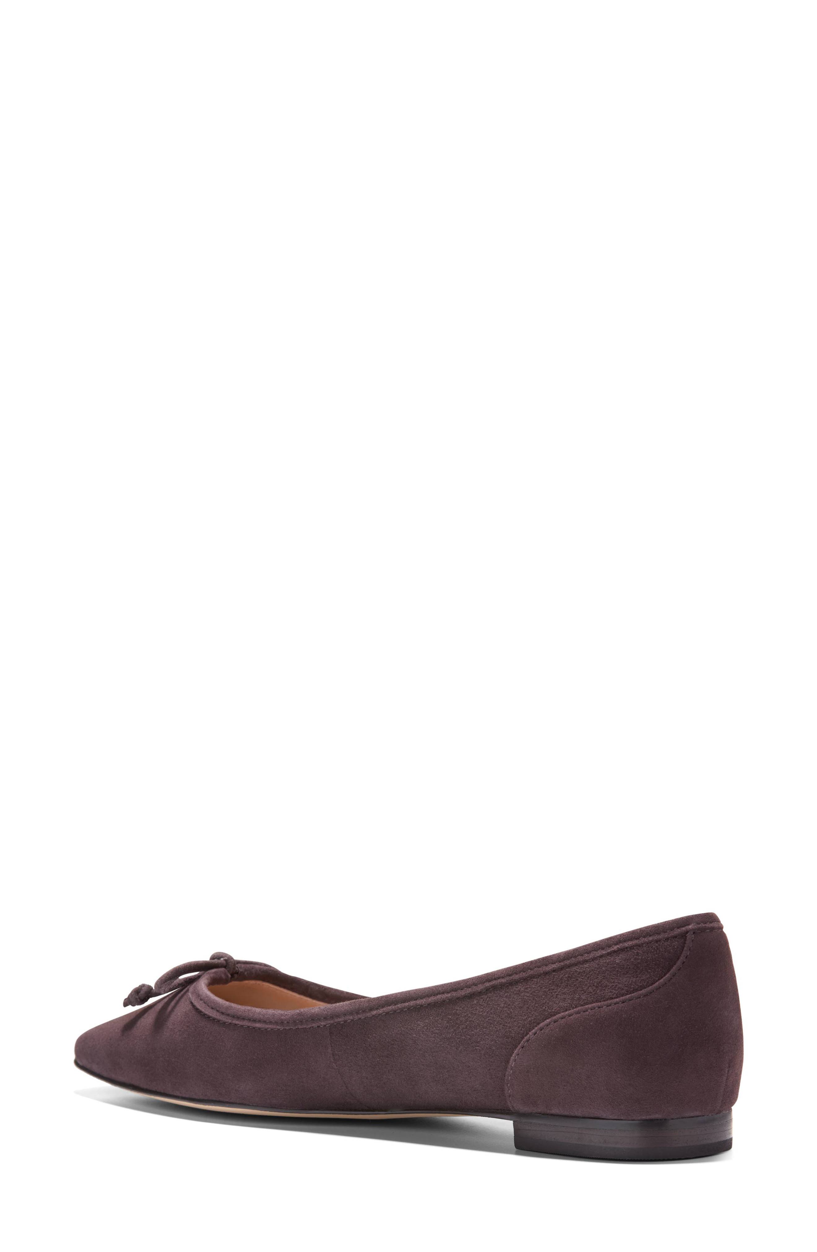Paget Leather Ballet Flat, Alternate, color, DARK CHOCOLATE SUEDE