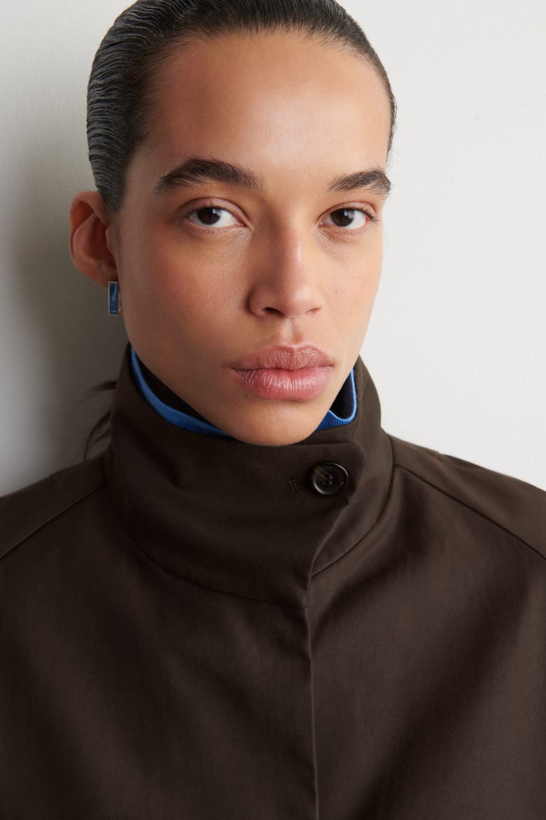 Oversized Mock-Neck Coat, Alternate, color, DARK BROWN