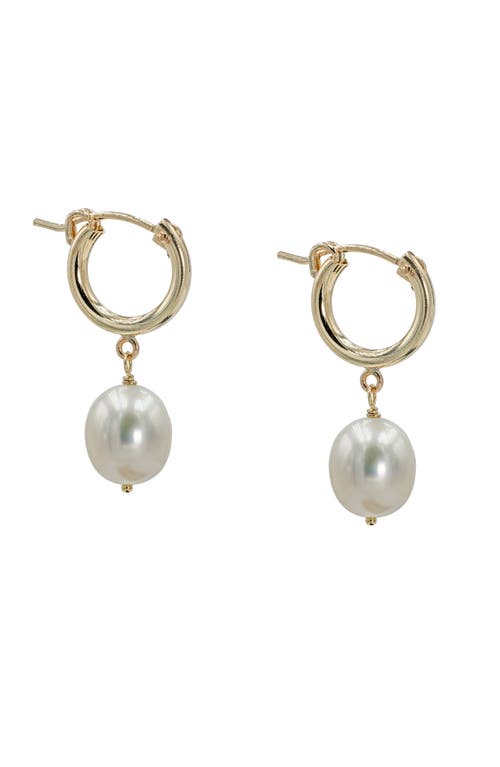 Albisia Oro Pearl Hoops In 14k Gold Filled