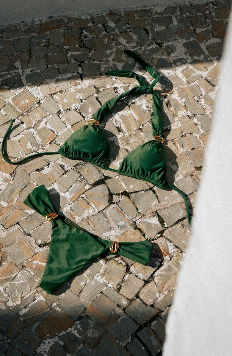 ViX Paula Hermanny Bia Tube Triangle Bikini Top, Alternate, color, Green