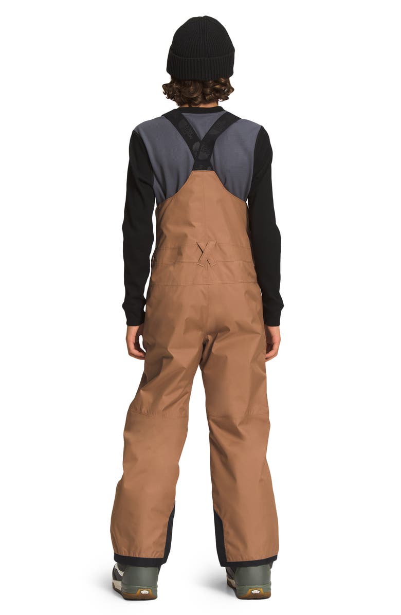 The North Face Kids' Freedom Insulated Waterproof Snow Bibs, Alternate, color,