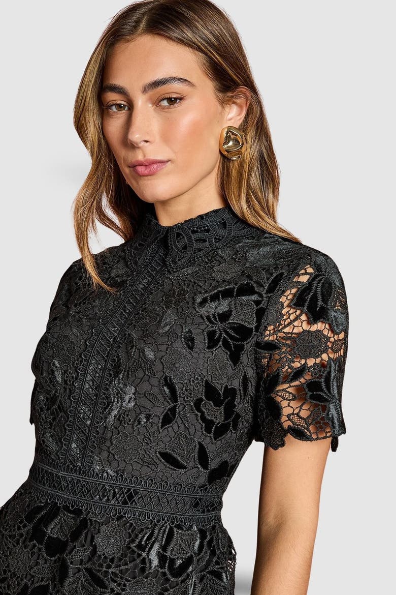Velvet Lace Collared Midi Dress, Alternate, color, Black