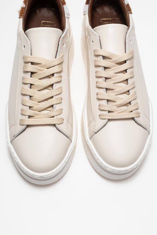 Forever & Always Shoes Anabel Leather Platform Sneakers In Multi