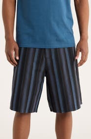 Obey Baja Stripe Baggy Denim Shorts