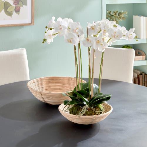 Napa Home & Garden Set Of 2 Cane Rattan Low Bowl In Nude