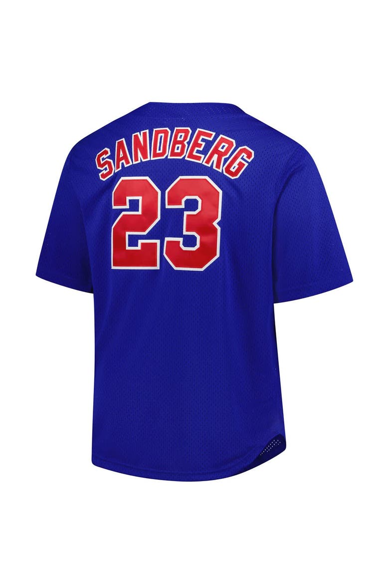 Men's Profile Ryne Sandberg Royal Chicago Cubs Big & Tall Cooperstown Collection Baseball Jersey, Alternate, color, Royal