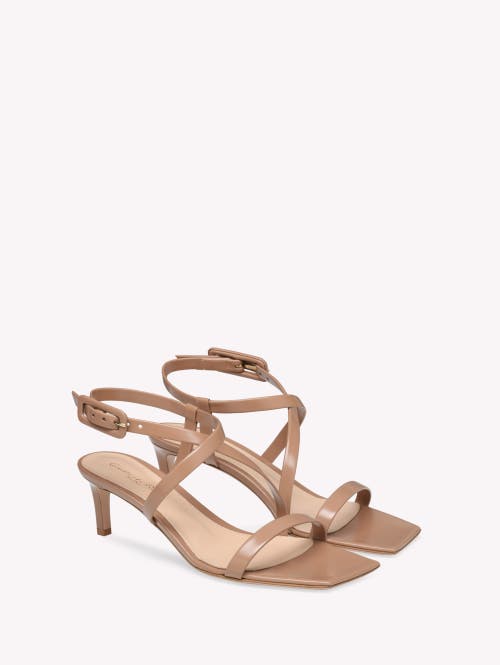 Gianvito Rossi Tokio Heels In Pink