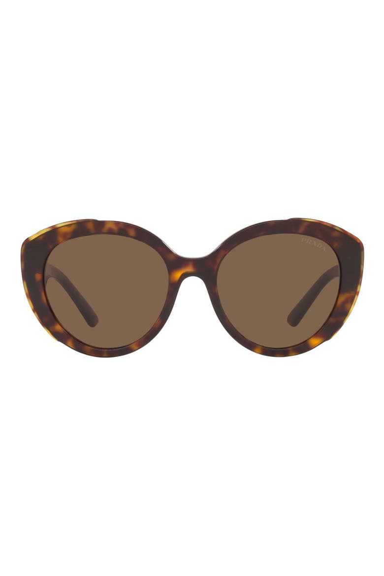 54mm Oval Cat Eye Sunglasses, Main, color, HAVANA/ DARK BROWN