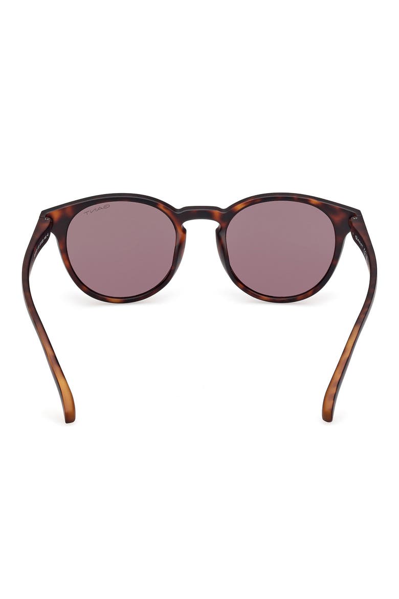 Oval Sunglasses, Alternate, color, DARK HAVANA / BROWN