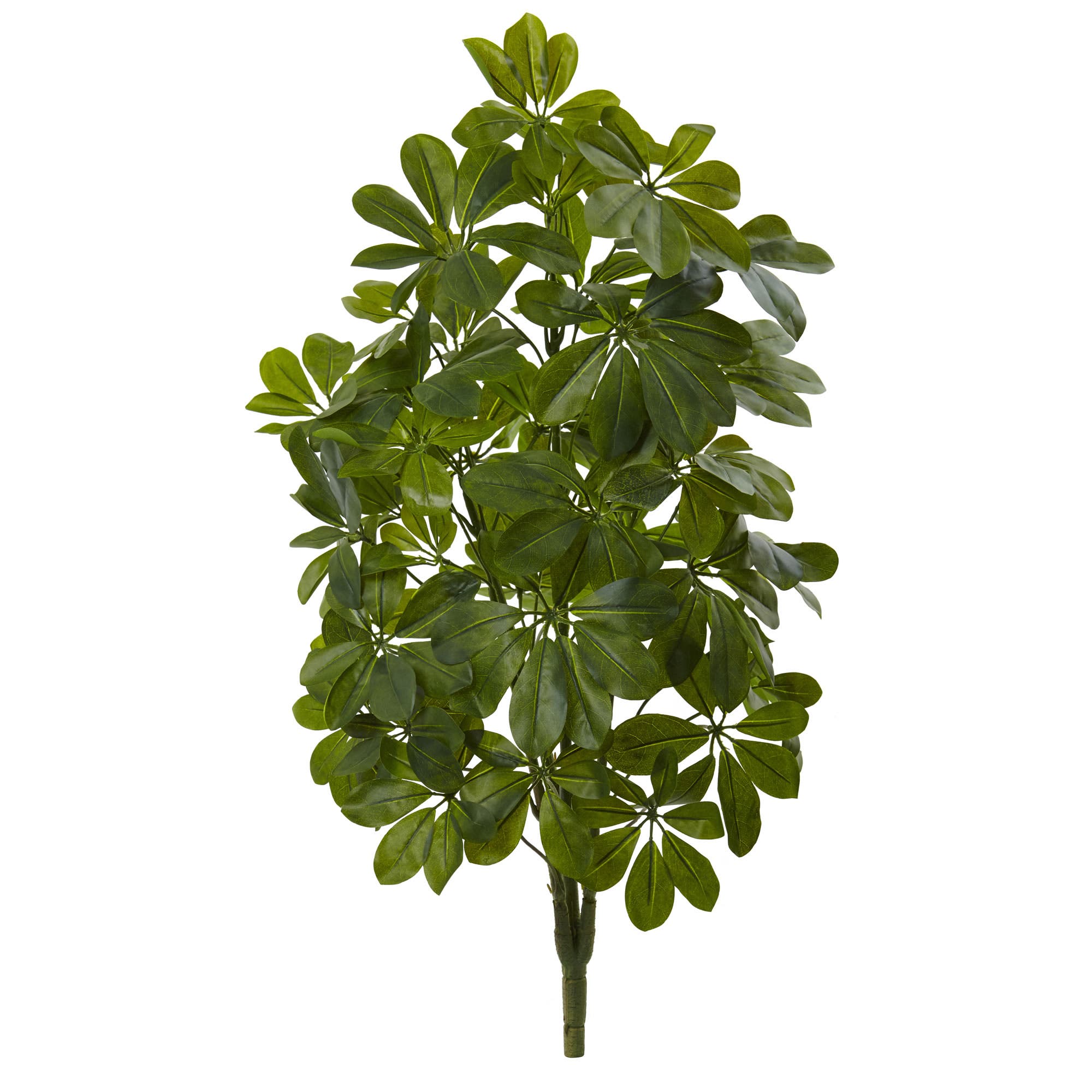 selected Green