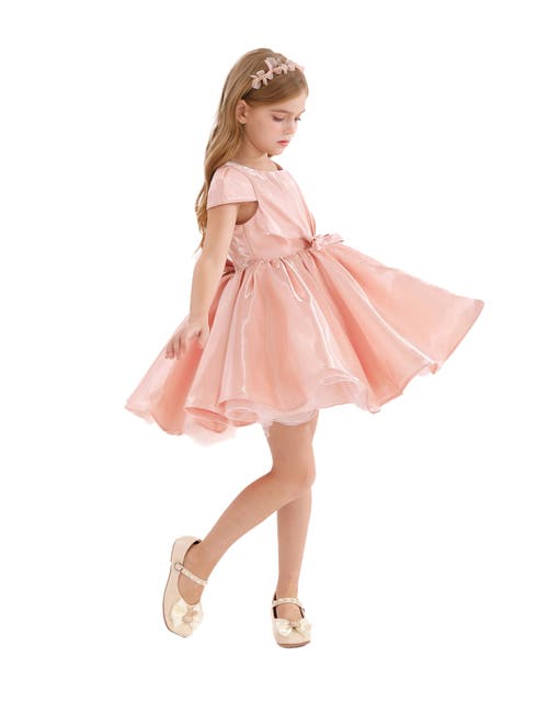 Tulleen Solera Dress In Pink