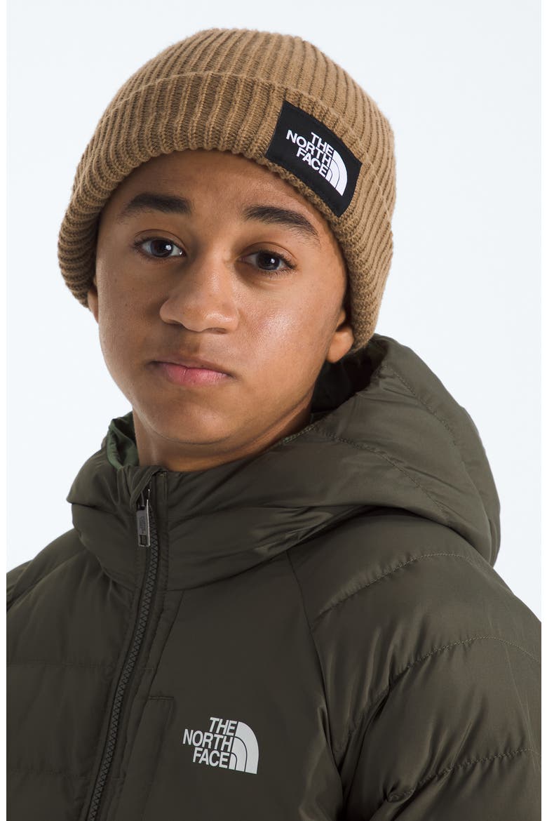 Kids' Salty Dog Beanie, Alternate, color, UTILITY BROWN