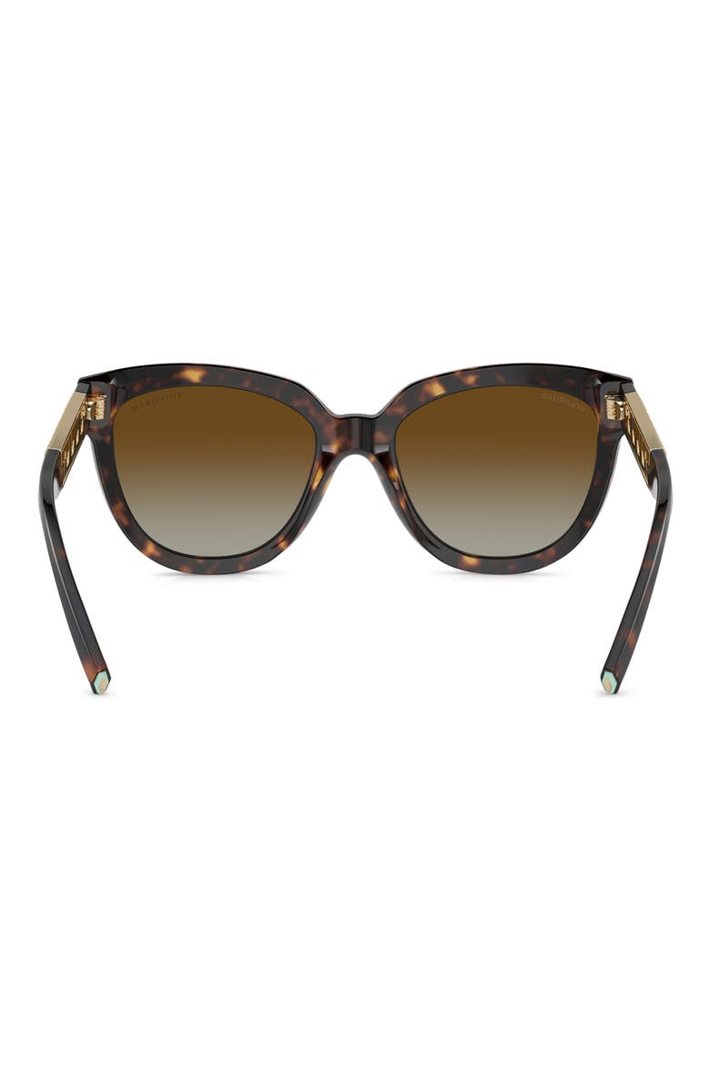 53mm Gradient Polarized Cat Eye Sunglasses, Alternate, color, HAVANA