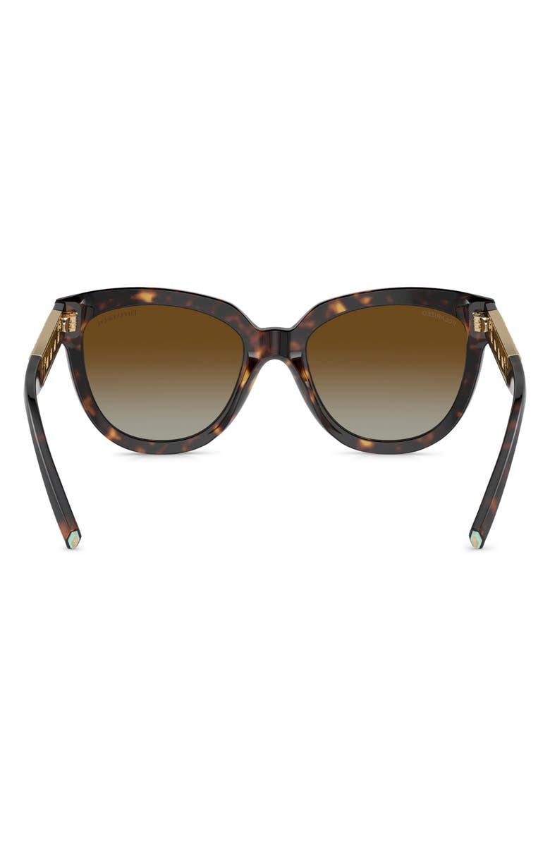 Tiffany & Co. 53mm Gradient Polarized Cat Eye Sunglasses, Alternate, color, Havana