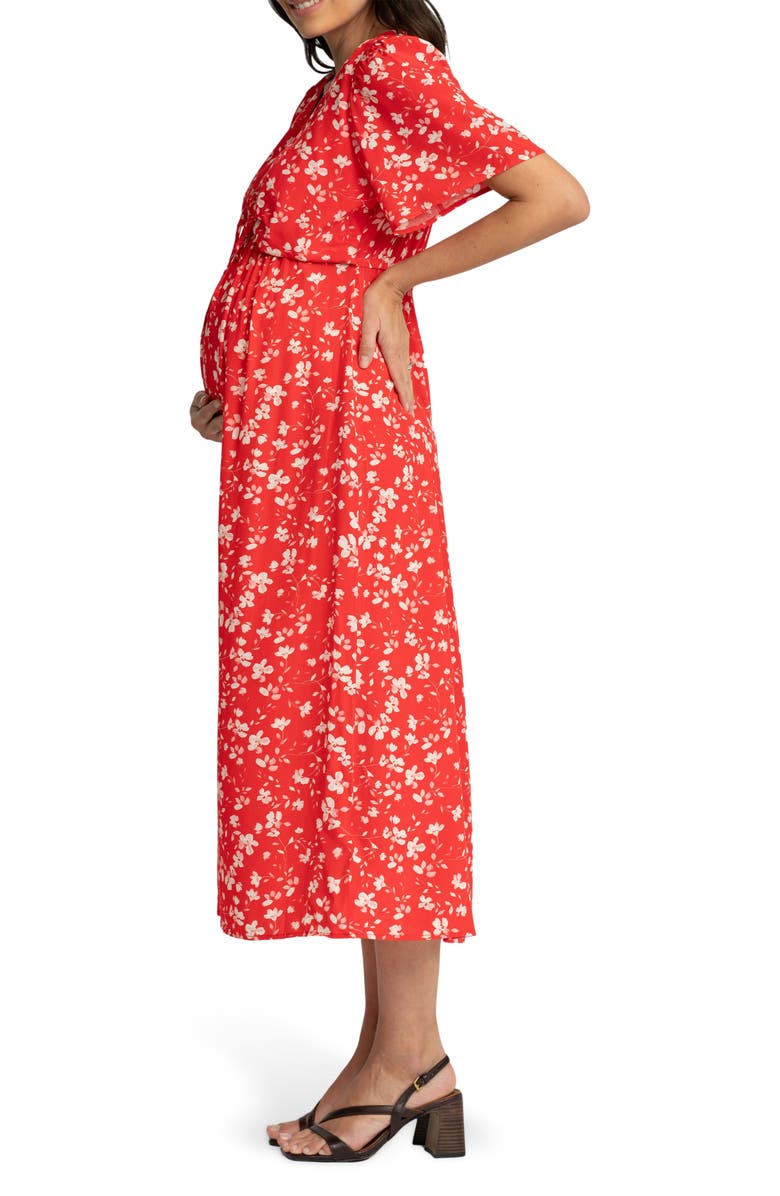 Seraphine Floral Maternity/Nursing Jersey Midi Dress, Alternate, color,