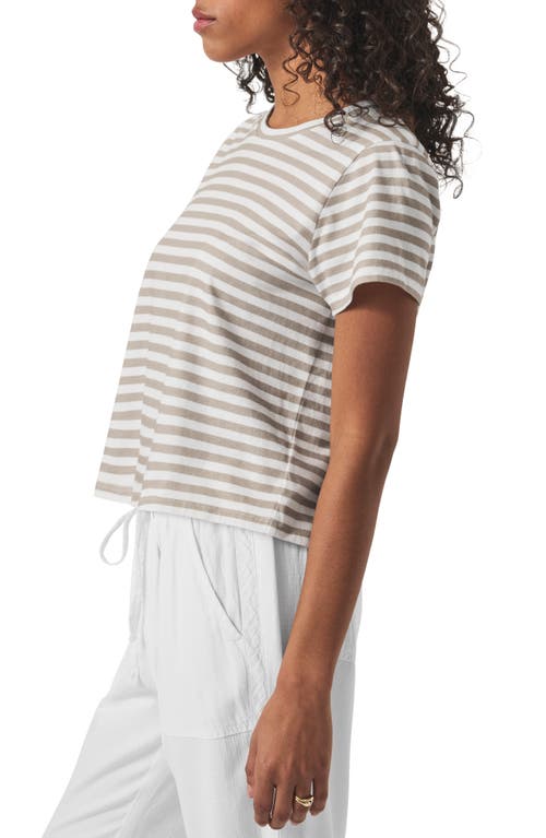 Splendid Louisa Stripe T-shirt In Fawn Stripe