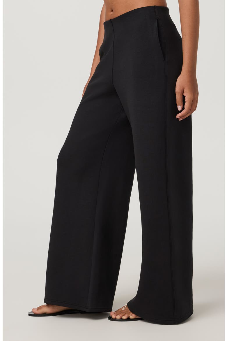 Galaxy High Waist Wide Leg Pants, Alternate, color, BLACK