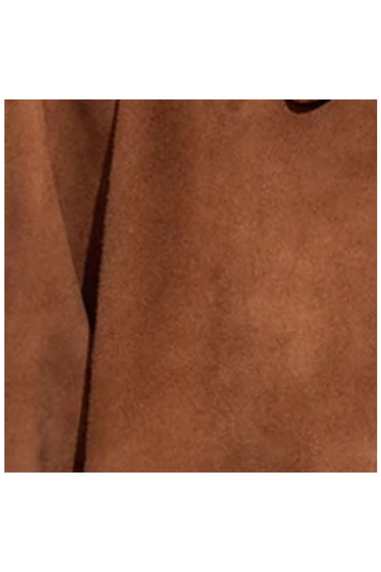 Studded Suede Cropped Jacket, Alternate, color, Brown
