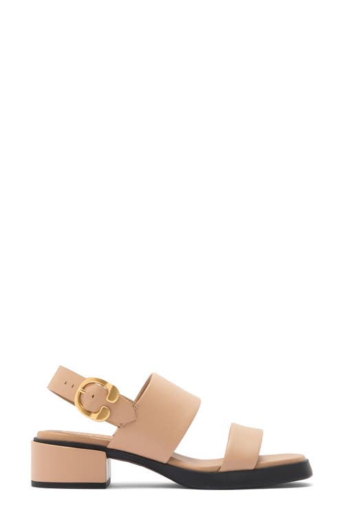AEROSOLES AEROSOLES DOVE PLATFORM SANDAL 