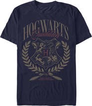 HARRY POTTER Men's Hogwarts Quidditch Red Crest T-Shirt