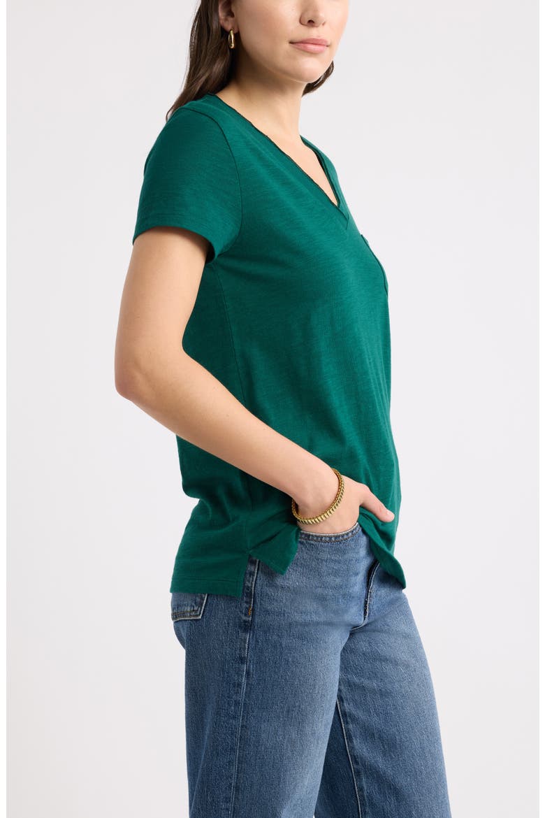 Cotton & Modal V-Neck T-Shirt, Alternate, color, GREEN BOTANICAL