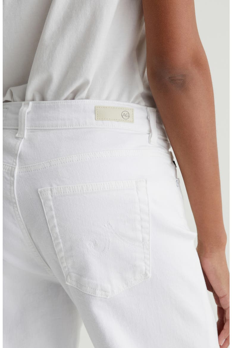 Brinley Mid Rise Ankle Straight Leg Jeans, Alternate, color, GALLERY WHITE