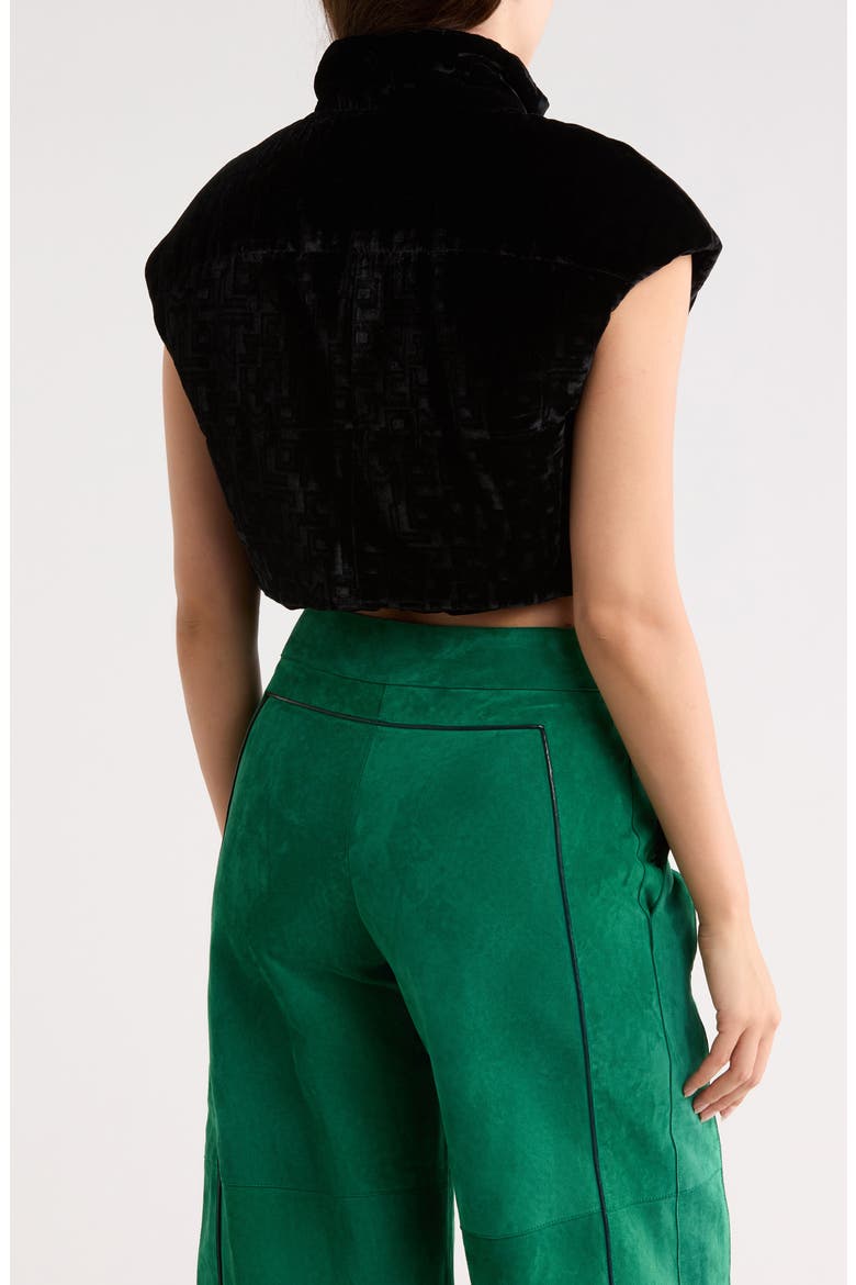 Crop Velvet Blouson Jacket, Alternate, color, BLACK