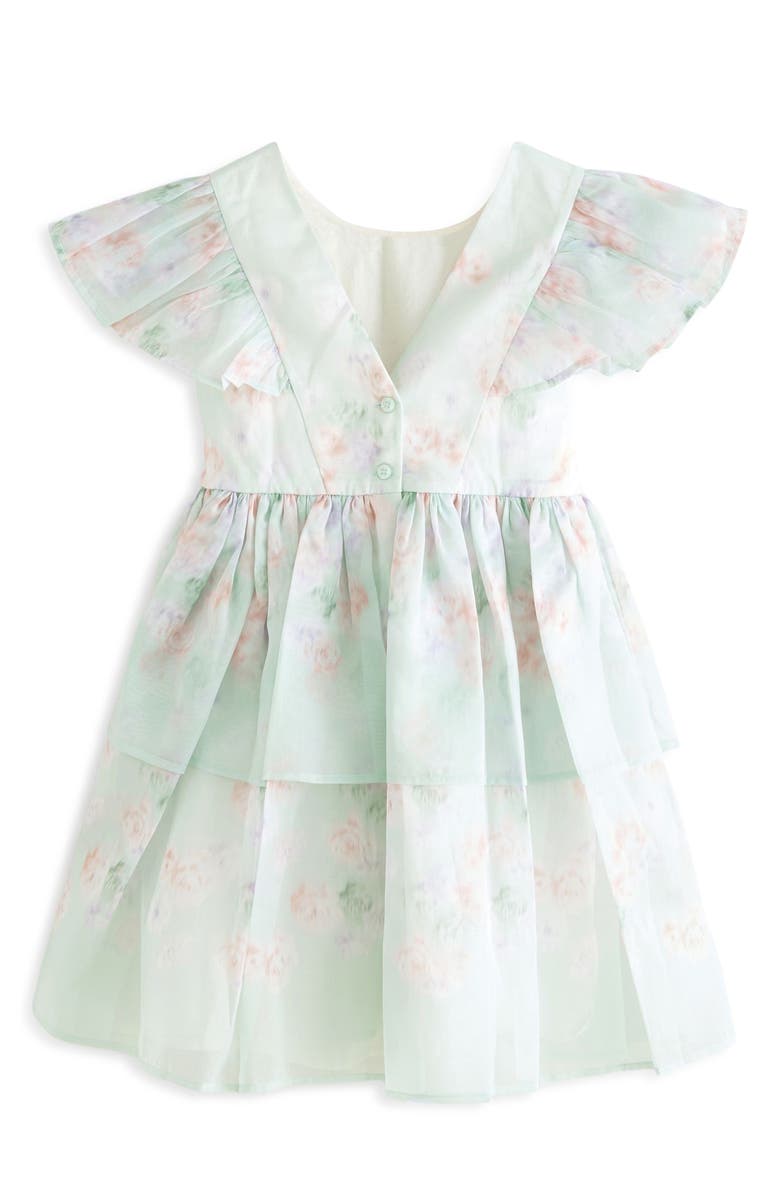 Laura Ashley Kids' Blurred Floral Organza Party Dress, Alternate, color, Green