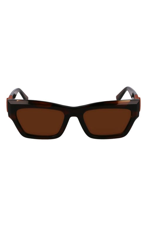 Longchamp Medallion 53mm Modified Rectangular Sunglasses In Striped Brown