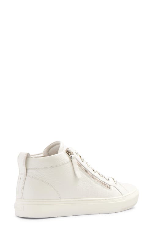 Frankie4 Morgan Mid Top Sneaker In White