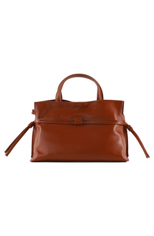 Sam Edelman Small Poppy Drawstring Leather Crossbody Bag In Brown