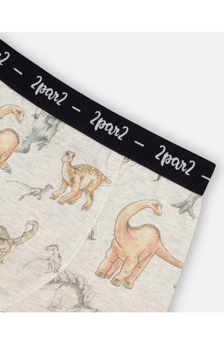Deux par Deux Boy's Printed Organic Cotton Boxer Shorts Dinosaur On Mottled And Tan Background, Alternate, color, Dinosaur On Mottled And Tan