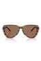  Striated Brown / Dark Brown