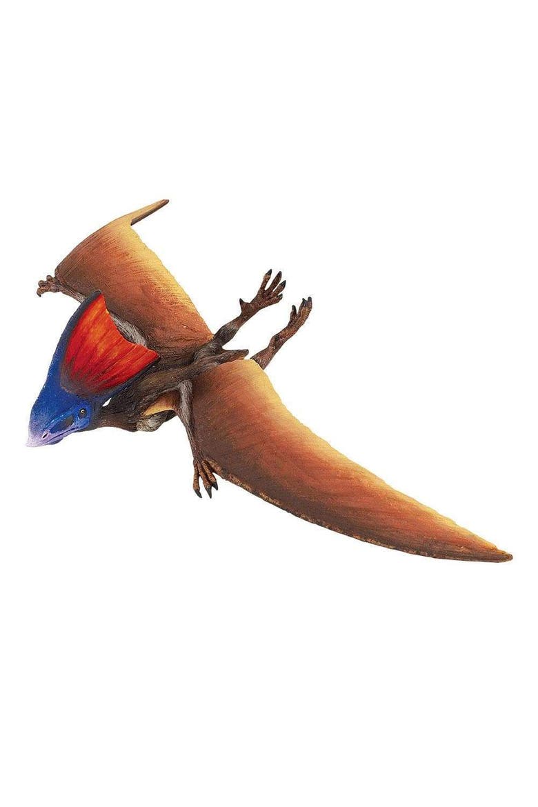 Tapejara Toy, Main, color, No Color