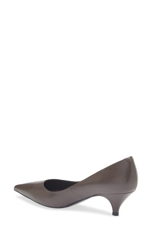 Jeffrey Campbell Miss Maam Pointed Toe Pump In Brown