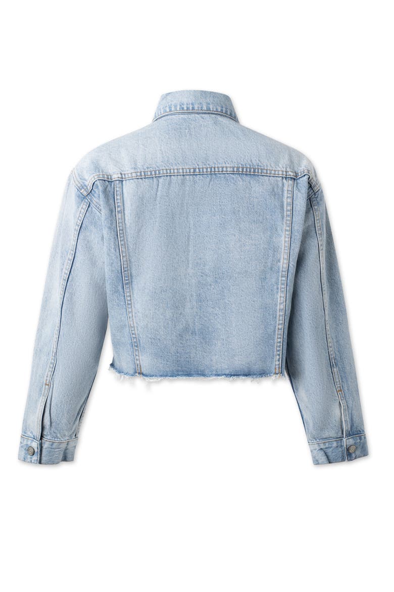 The Harvey Oversized Cutoff Denim Jacket, Alternate, color, She's All That