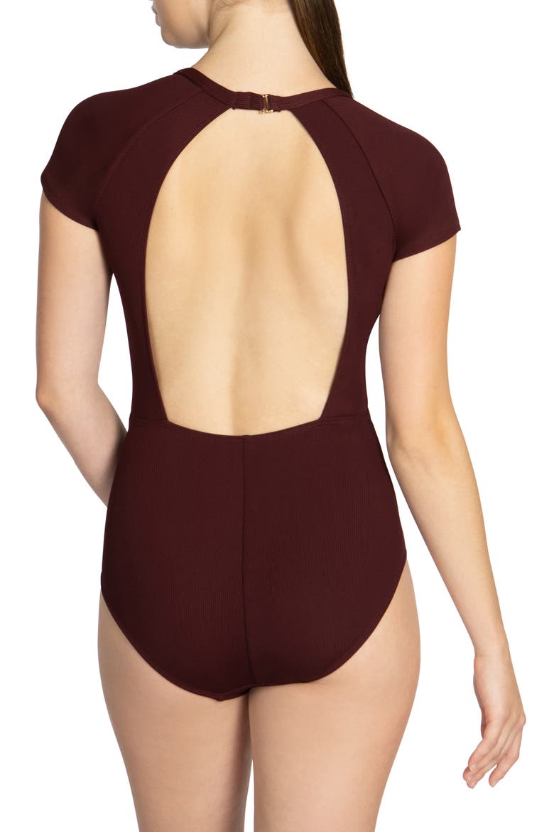 Amy Plunge Neck Cap Sleeve One-Piece Swimsuit, Alternate, color, ALL SPICE