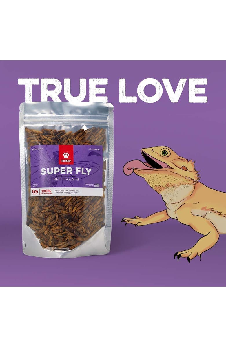Scout & Zoe's Super Fly Black Soldier, Swarm Trio, Dog Treat Variety Pack, 10oz, Alternate, color, Multicolored