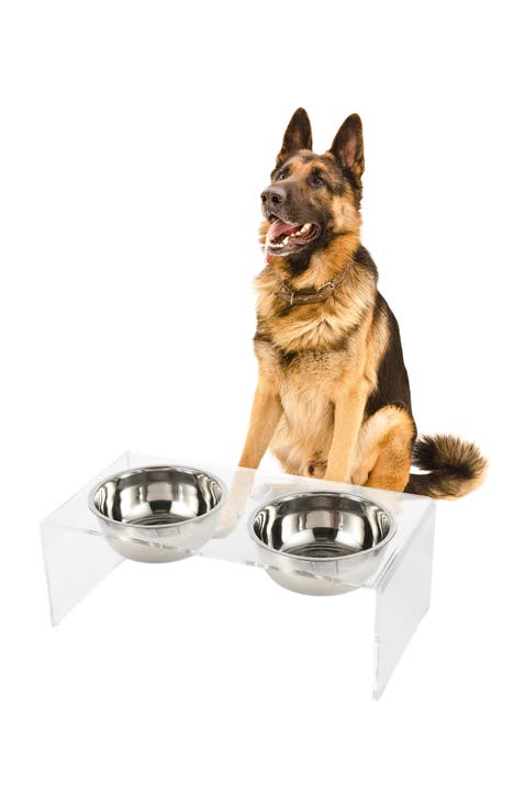 Keaton Modern Lucite Rectangular Elevated Pet Feeder with 2-Stainless Steel Bowls