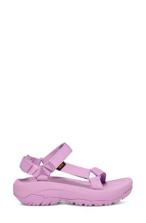 Teva Hurricane Xlt 2 Ampsole Sandal In Lupine