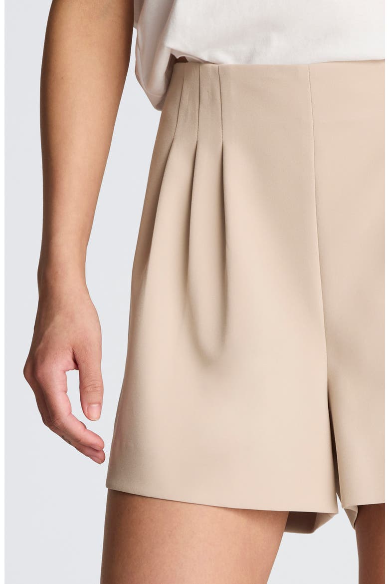 Pleated High Waist Shorts, Alternate, color, TIMELESS TAUPE